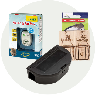 ongediertebestrijding